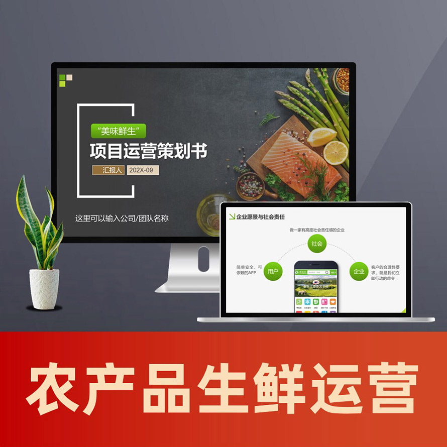 PPT093农业农产品项目运营策划书ppt 生鲜电商商业计划书PPT