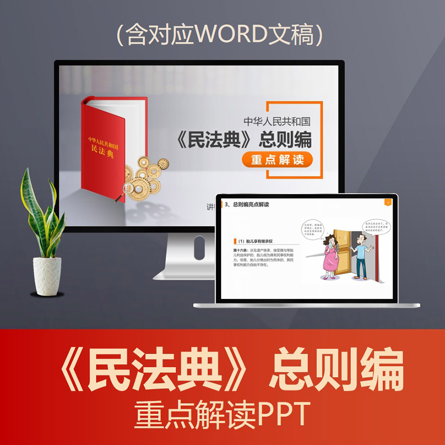 PPT201 民法典总则编重点解读PPT 民法总则民事法律权益思维普法PPT模板
