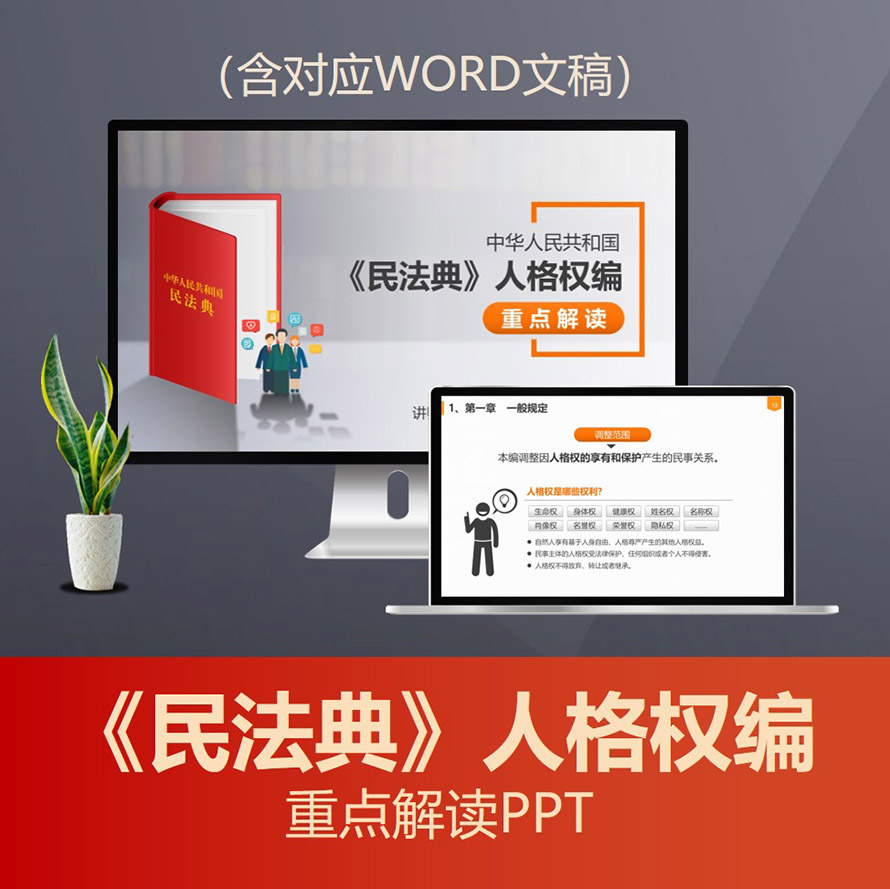 PPT210 民法典人格权编重点解读PPT 隐私保护案例人身权益保护普法PPT