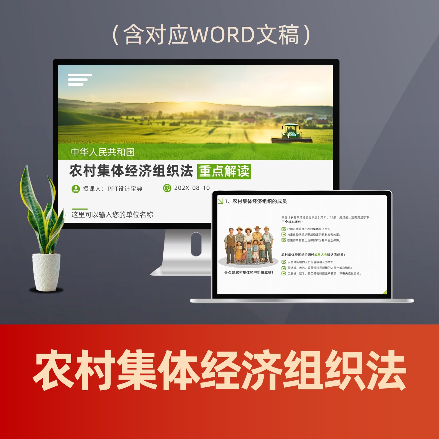 PPT294农村集体经济组织法重点解读PPT课件 农村农业经济法律普法PPT